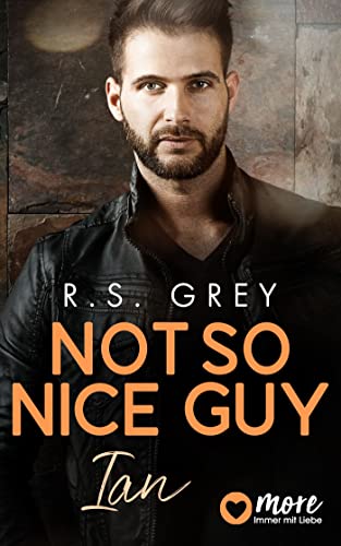 Not so nice Guy: Ian (Handsome Heroes 3)