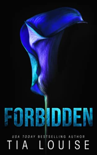Forbidden: A professor-student romance