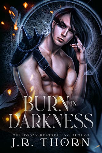 Burn in Darkness: Fortune Academy Book 8.666 (Fortune Academy Underworld 5)