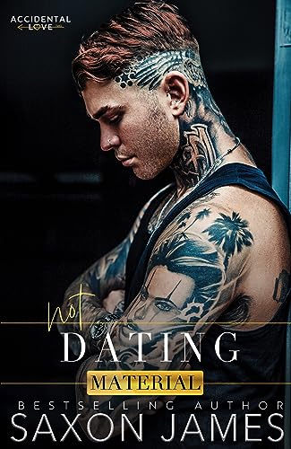 Not Dating Material (Accidental Love Book 2)