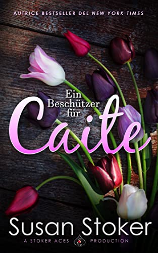 Ein Beschützer für Caite (SEALs of Protection: Legacy 1)