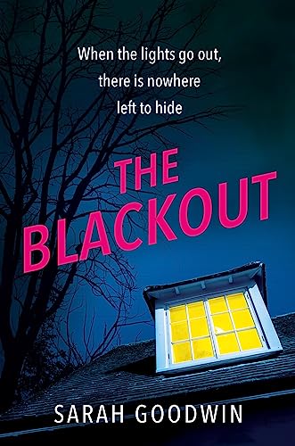 The Blackout: The gripping new psychological thriller novel for fans of Claire Douglas, with twists that will leave you breathless (The Thriller Collection, Book 4)