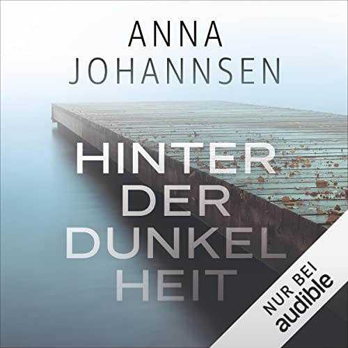 Hinter der Dunkelheit: Ein Fall für Hanna Will & Jan de Bruyn 1