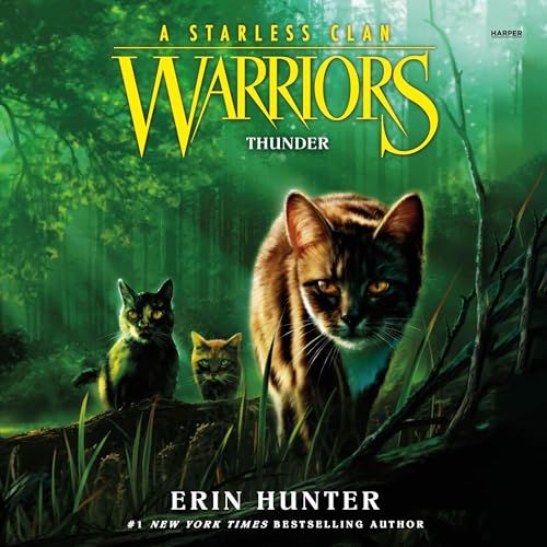 Thunder: Warriors: A Starless Clan, Book 4
