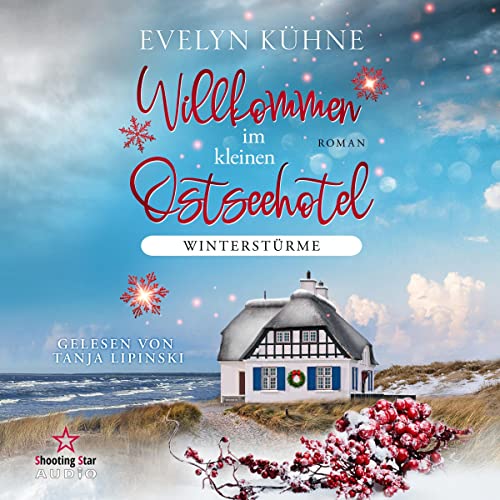 Winterstürme: Willkommen im kleinen Ostseehotel 1