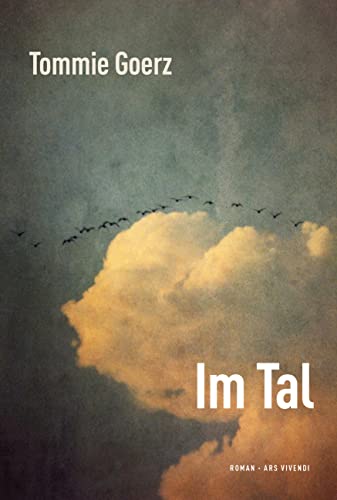 Im Tal: Roman
