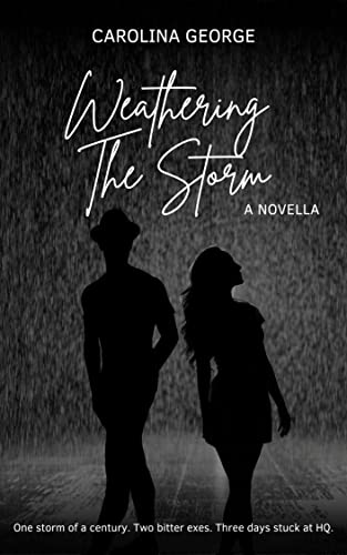 Weathering The Storm: A Second Chance Romance