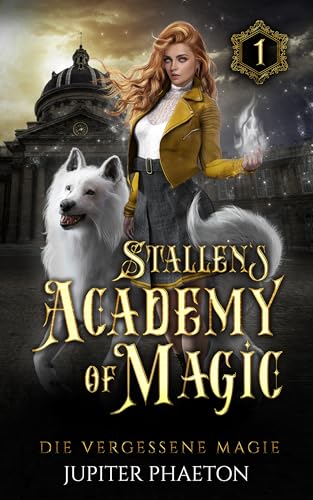 Die vergessene Magie (Stallen's Academy of Magic 1)