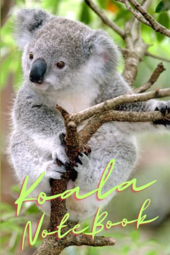 New Koala Composition Notebook: for girls, boys, kids, teachers, Perfect Gift - 110 Lined Pages