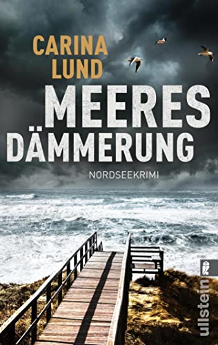 Meeresdämmerung: Nordseekrimi | Auftakt für die Soko Mondschein: Düstere Küstenspannung garantiert! (Elin Bertram ermittelt 1)