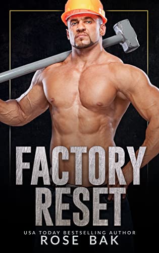 Factory Reset: A Midlife Instalove Romance (Blue Collar in Midlife)