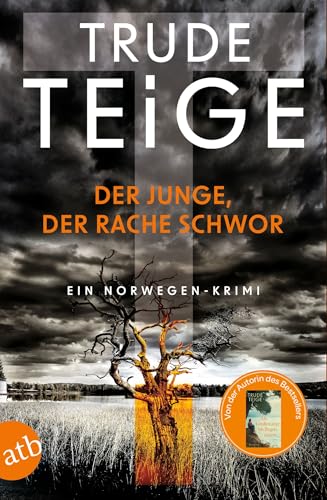 Der Junge, der Rache schwor: Ein Norwegen-Krimi (Kajsa Coren 1)