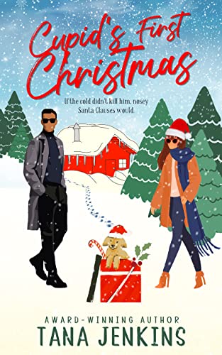 Cupid's First Christmas: A Grumpy Sunshine Holiday Romance (St. James Sisters Collection Book 6)