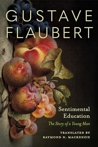 Sentimental Education: The Story of a Young Man (English Edition)