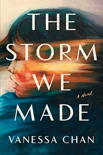 The Storm We Made: A Novel