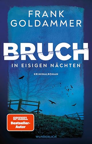 Bruch: In eisigen Nächten: Der neue Krimi von Bestsellerautor Frank Goldammer (Felix Bruch 2)