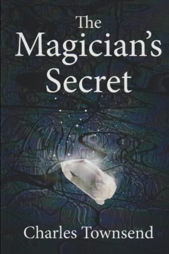 The Magician's Secret (Illusions of Power, Band 1)