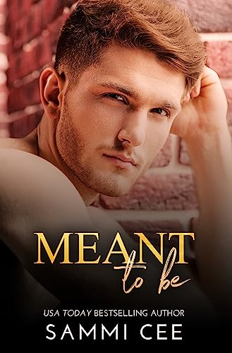 Meant To Be: A Prequel Daddy Novella (Love On Tap 2: Pain & Healing Book 1)