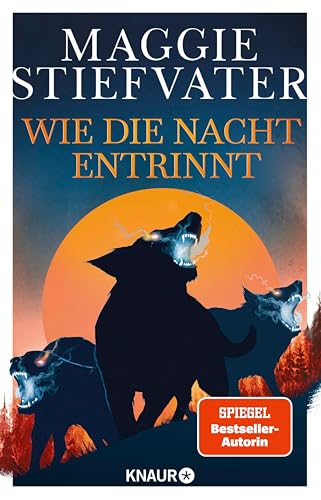 Wie die Nacht entrinnt (Dreamer-Trilogie 3)