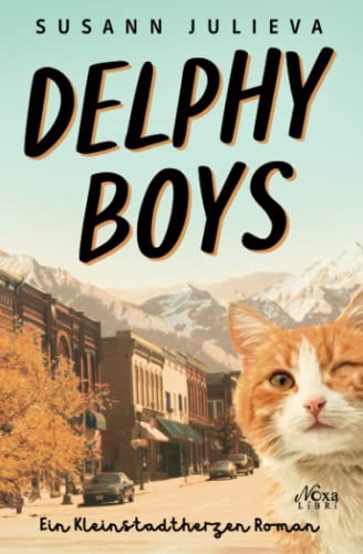 Delphy Boys: Ein Kleinstadtherzen Roman