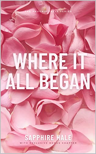 Where It All Began (Phoenix Falls Series Book 2)