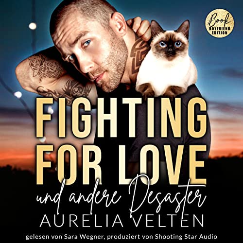 Fighting for Love und andere Desaster: Boston In Love 4