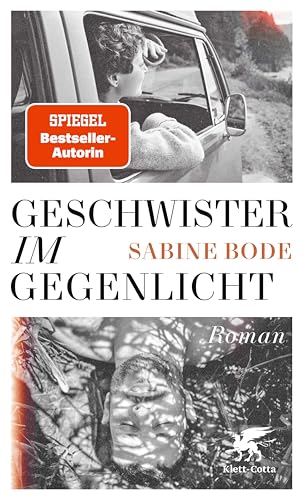 Geschwister im Gegenlicht: Roman