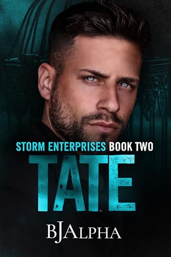 TATE: STORM ENTERPRISES BOOK 2