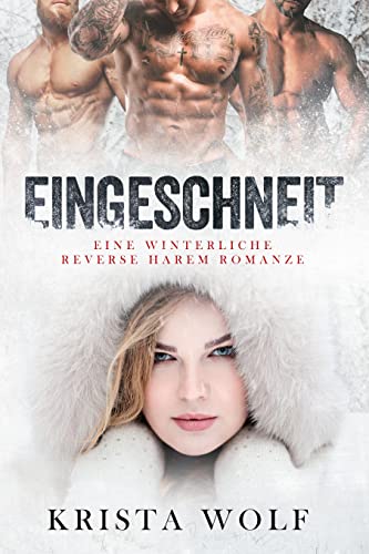 Eingeschneit: Eine Winterliche Reverse Harem Romanze