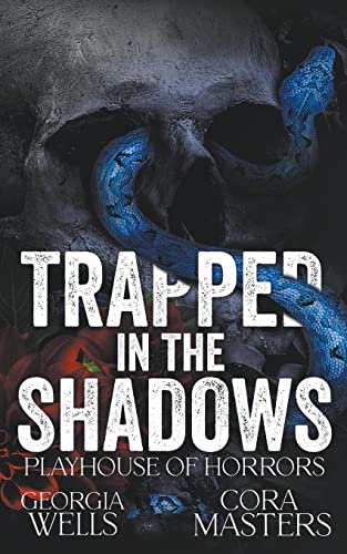 Trapped in the Shadows (The Playhouse Horrors, Band 1)