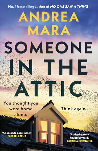 Someone in the Attic: The gripping new psychological thriller from the Sunday Times bestselling author of No One Saw a Thing