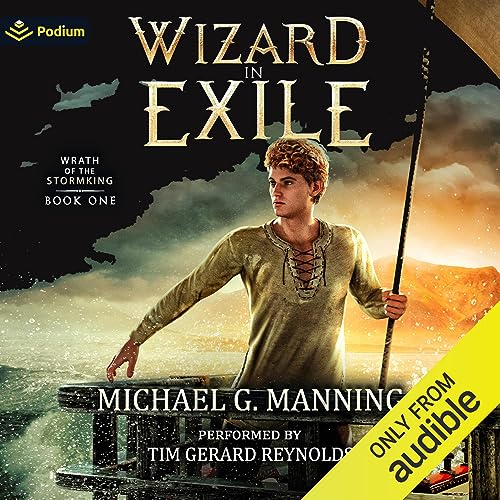 Wizard in Exile: Wrath of the Stormking, Book 1