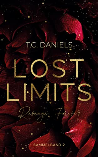Lost Limits Sammelband 2: Revenge Forever (Lost Limits Sammelbände)