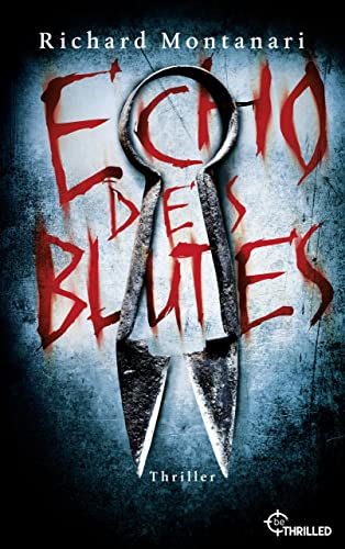 Echo des Blutes (Spannende Thriller mit Byrne und Balzano 5)