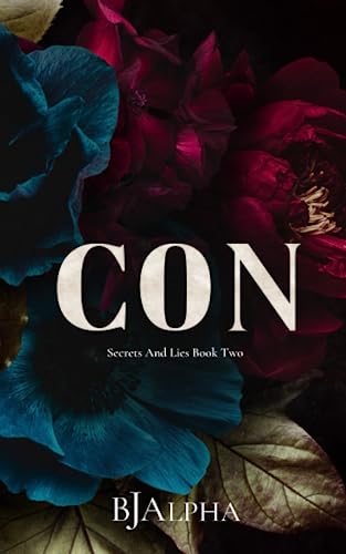 CON Discreet Cover: Secrets and Lies Discreet Cover Book 2 (SECRETS AND LIES DISCREET COVERS, Band 2)