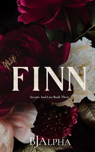 FINN Discreet Cover: Secrets and Lies Discreet Covers Book 3
