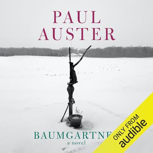 Baumgartner: A Novel