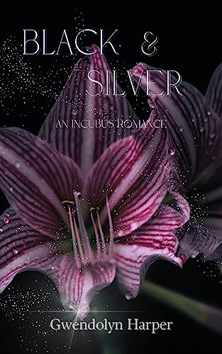 Black and Silver: An Incubus Romance Novel