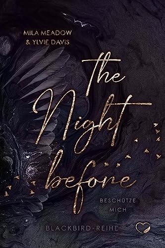 The Night Before: Beschütze mich (Romance Suspense) (Blackbird 1)