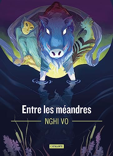 Entre les méandres (French Edition)