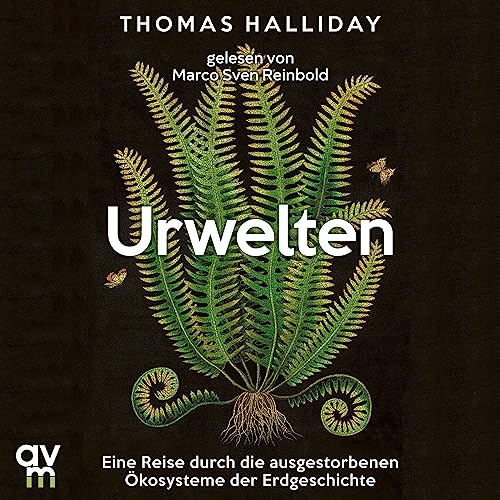 Unbekannter Titel