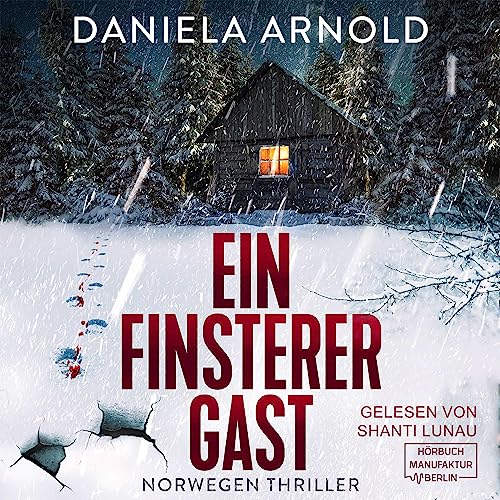 Ein finsterer Gast: Norwegen-Thriller