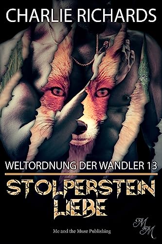 Stolperstein Liebe (Weltordnung der Wandler 13)