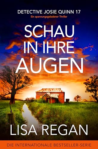 Schau in ihre Augen: Ein spannungsgeladener Thriller (Detective Josie Quinn 17)