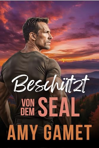Beschützt von dem SEAL (Die HERO Force 3)