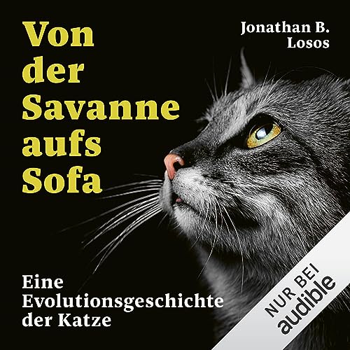 Von der Savanne aufs Sofa: Eine Evolutionsgeschichte der Katze