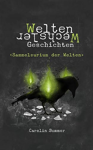 Sammelsurium der Welten: WeltenWechsler Geschichten 2 (Die WeltenWechsler Akten)