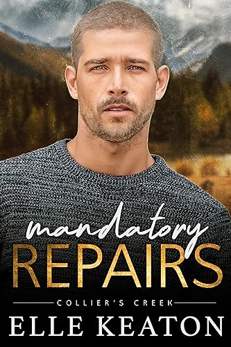 Mandatory Repairs
