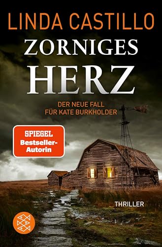 Zorniges Herz: Thriller | Spannender Thriller bei den Amischen (Kate Burkholder ermittelt 15)