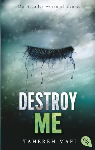 Destroy Me: Band 1.5 der »Shatter Me«-Reihe (Die Shatter-Me-Shorts 1)